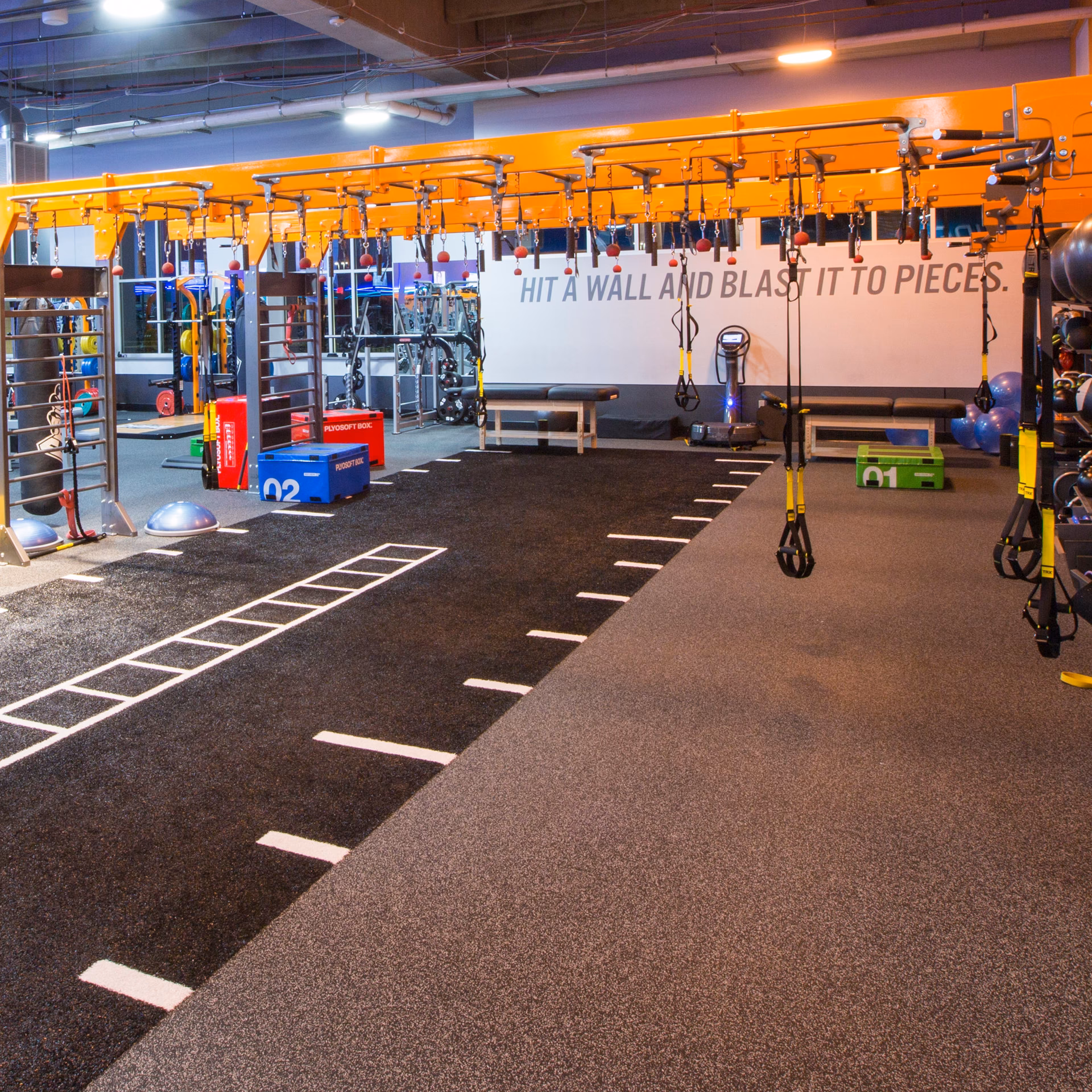 Why should you choose Planet Fitness Sarnia?