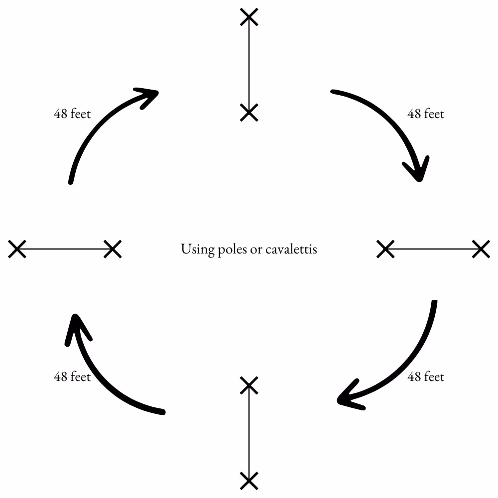 What is flatwork equine training?