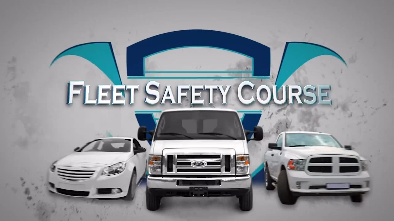 Does DriveSafe online offer a fleet driver training program?