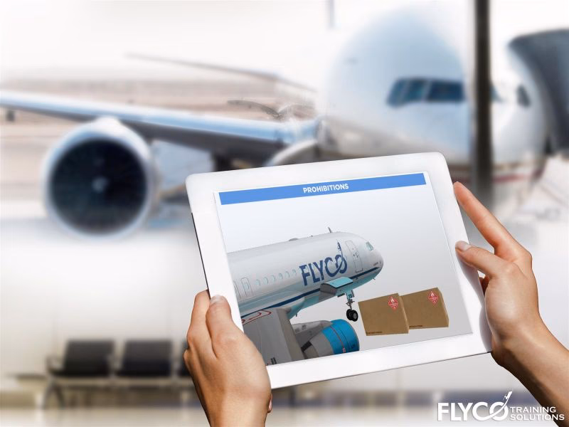 What makes flyco a good choice for aviation training?