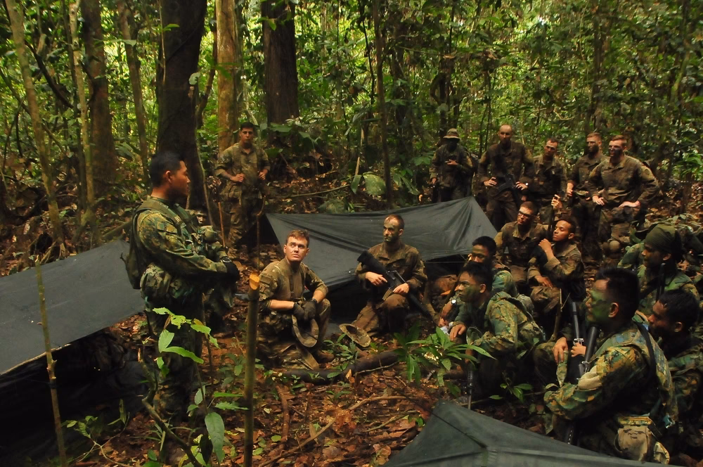 Do trees make a vista a military training landscape?