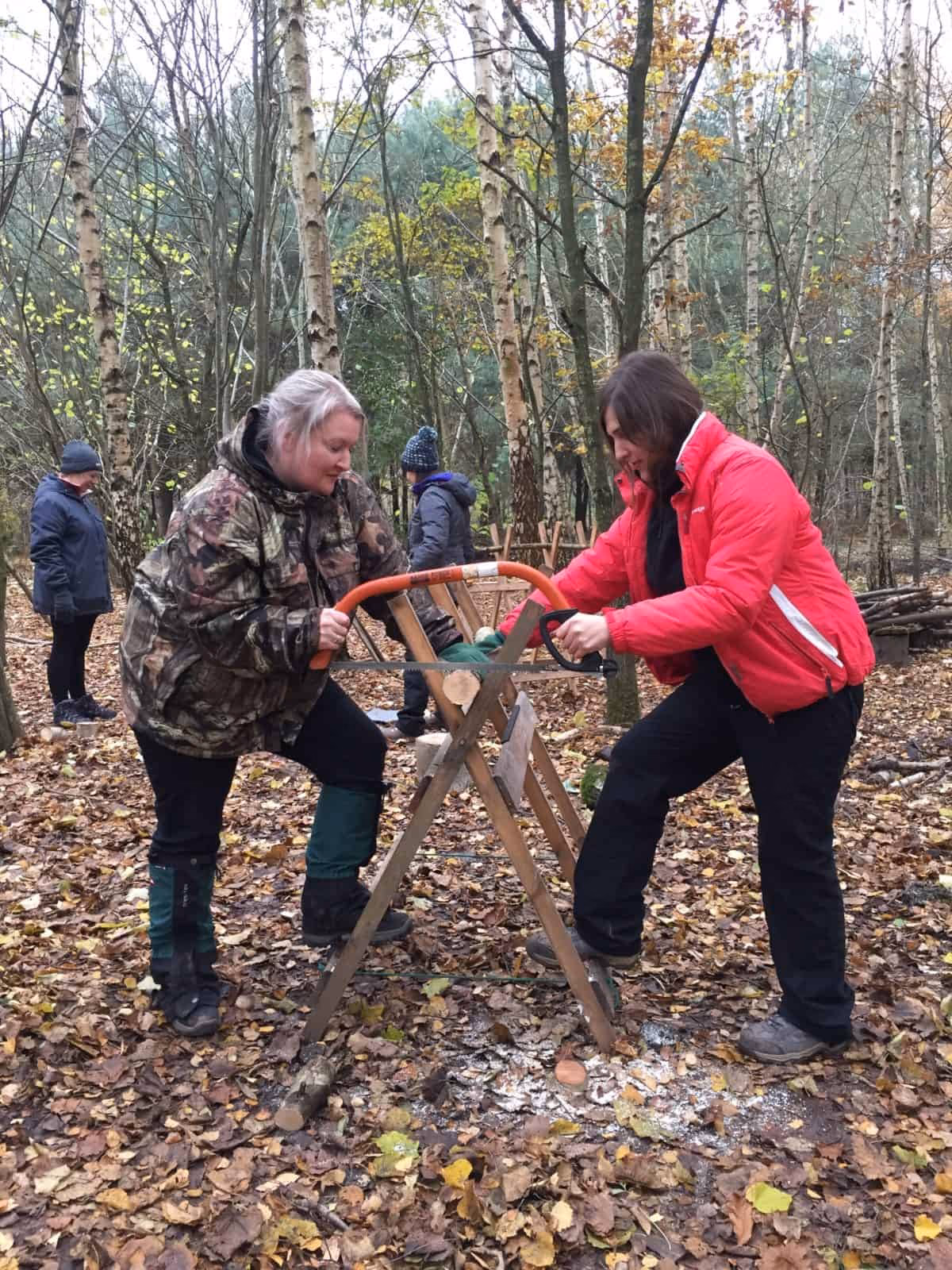 What is Forest School Level 3?