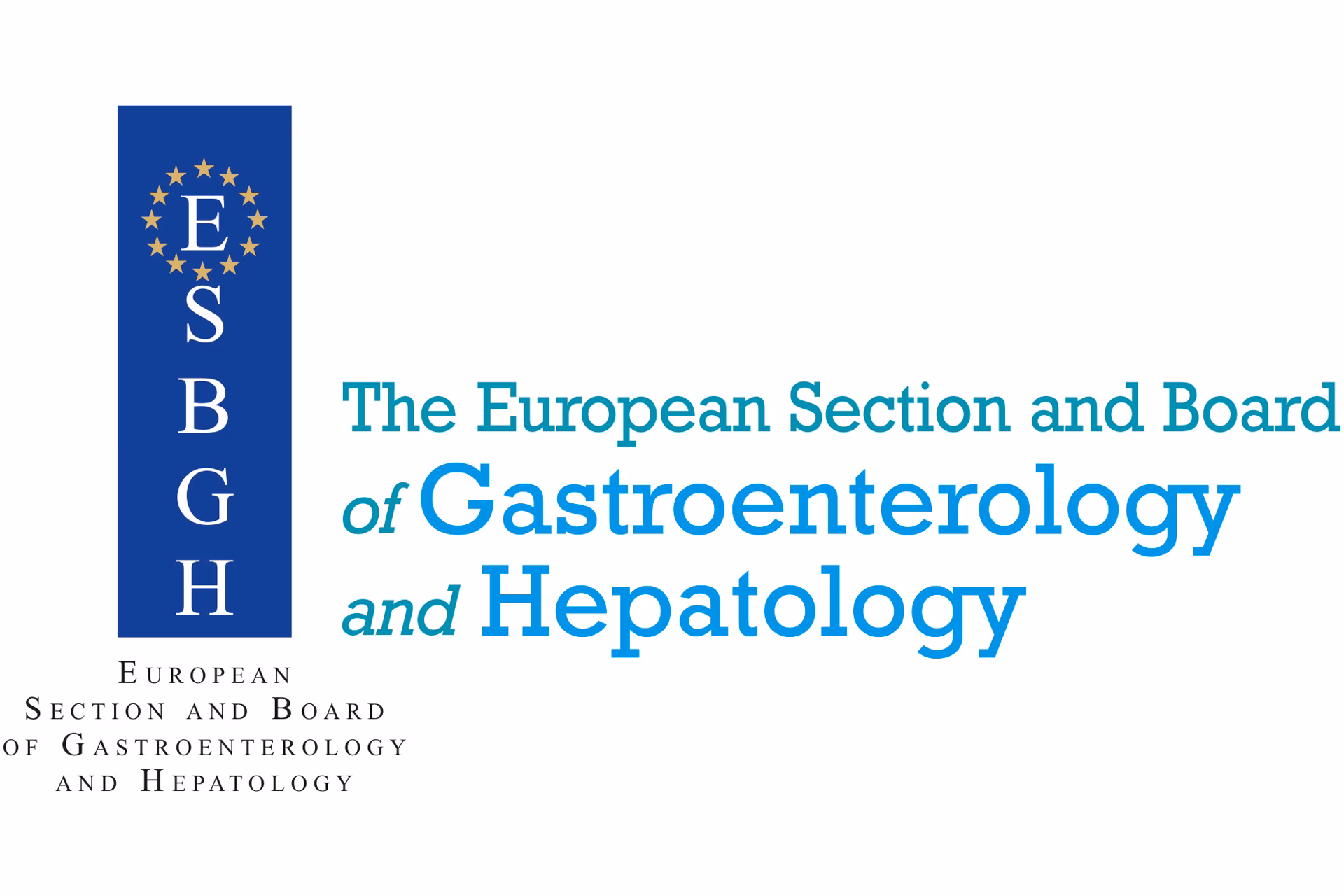 What does the European Board of Gastroenterology do?
