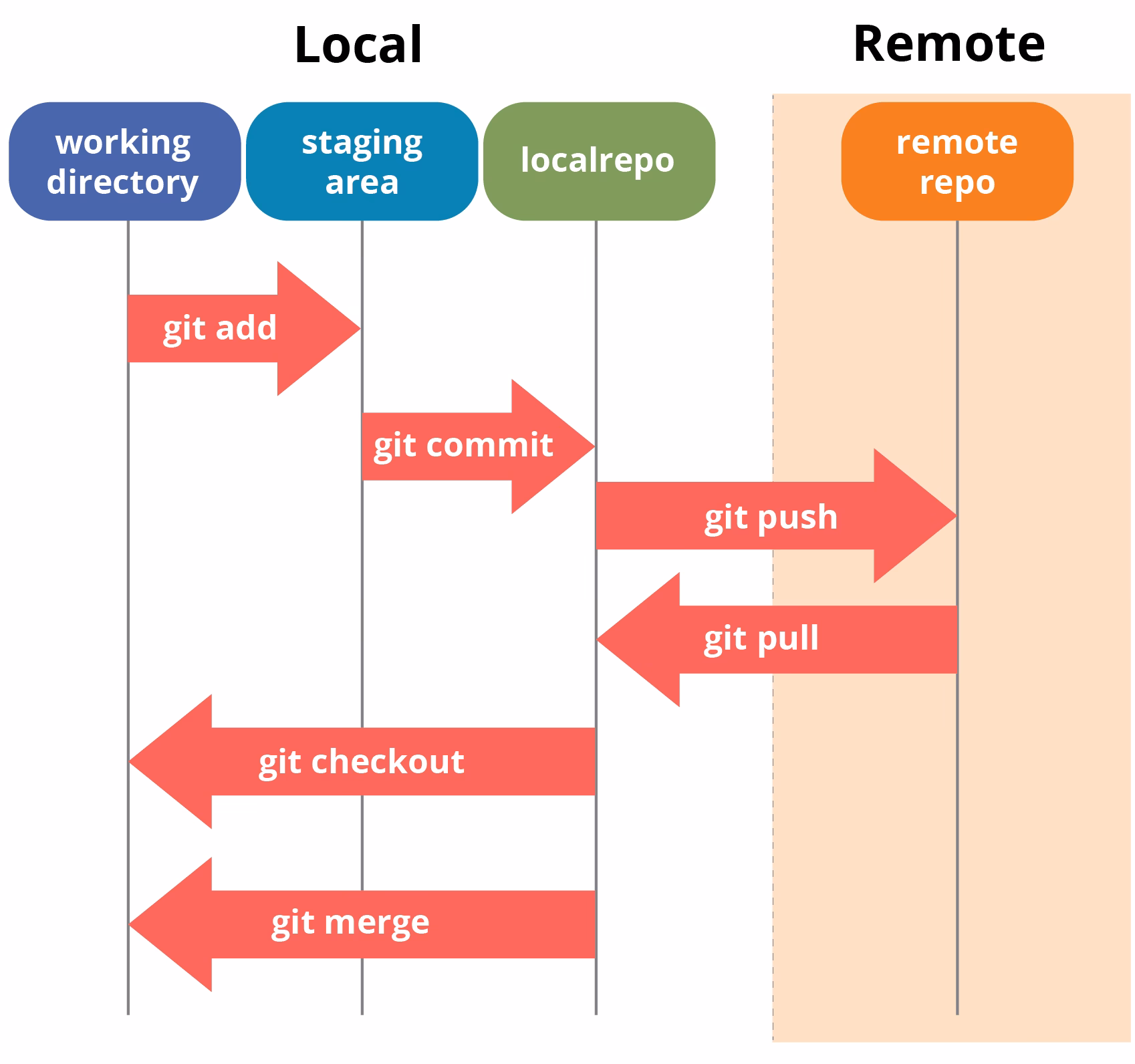 What is Git & GitHub?