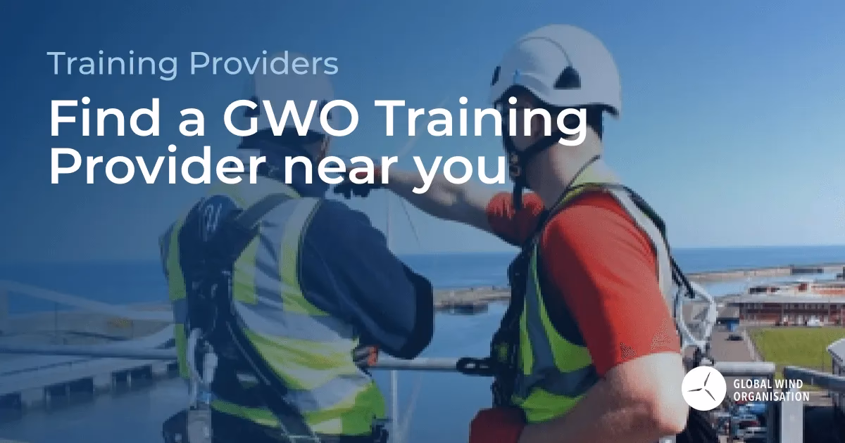 Who is global wind organisation?