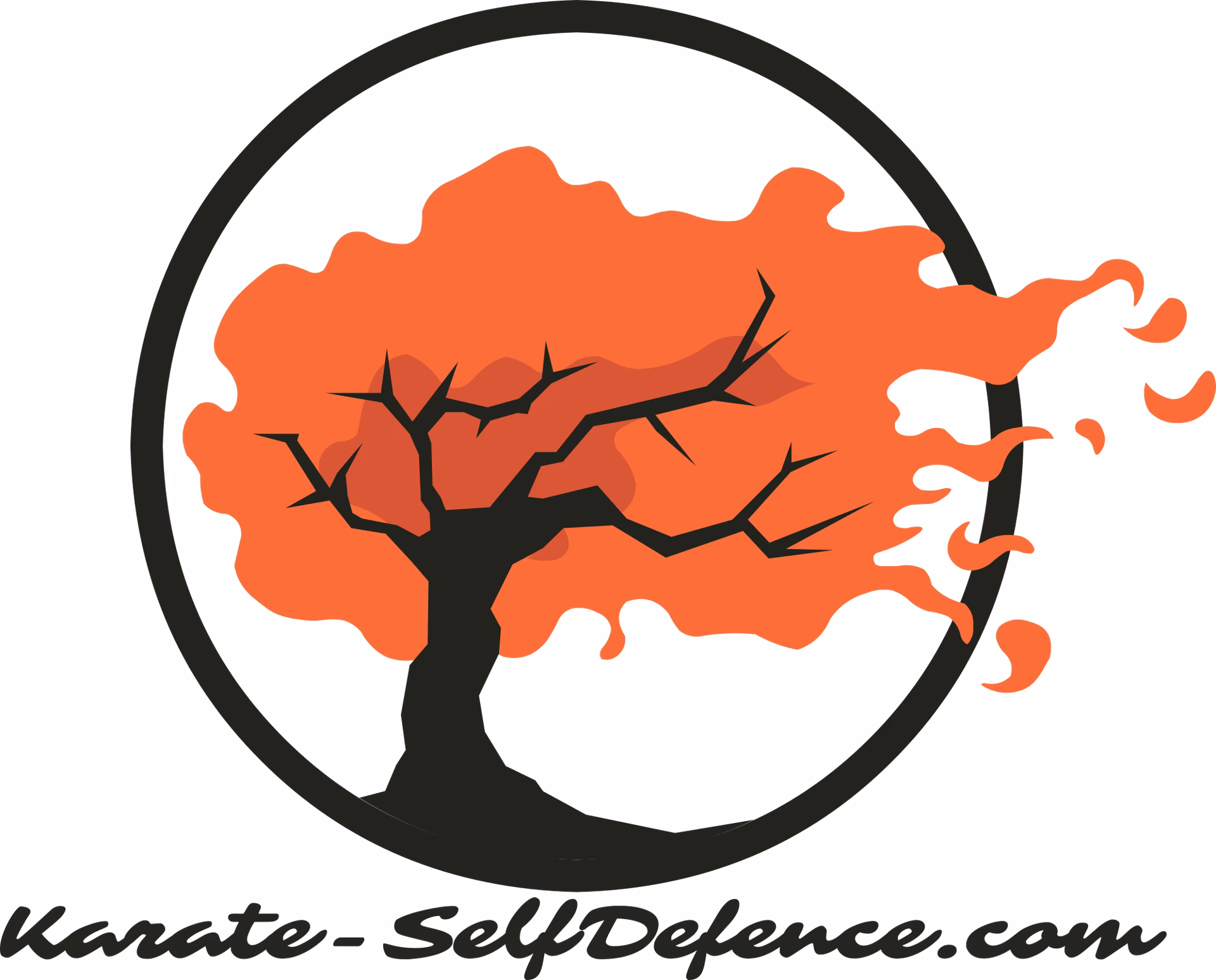 Does Okinawa Goju ryu Karate do look beautiful?