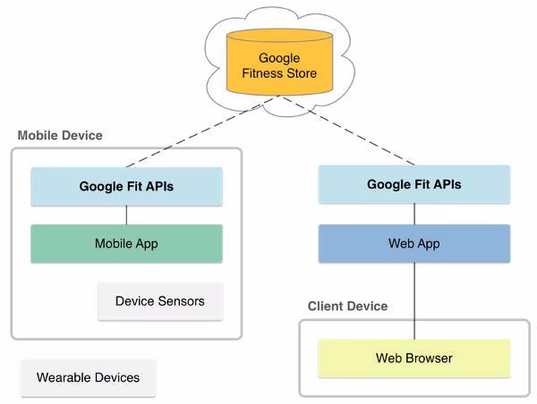 What's new with Google Fit?