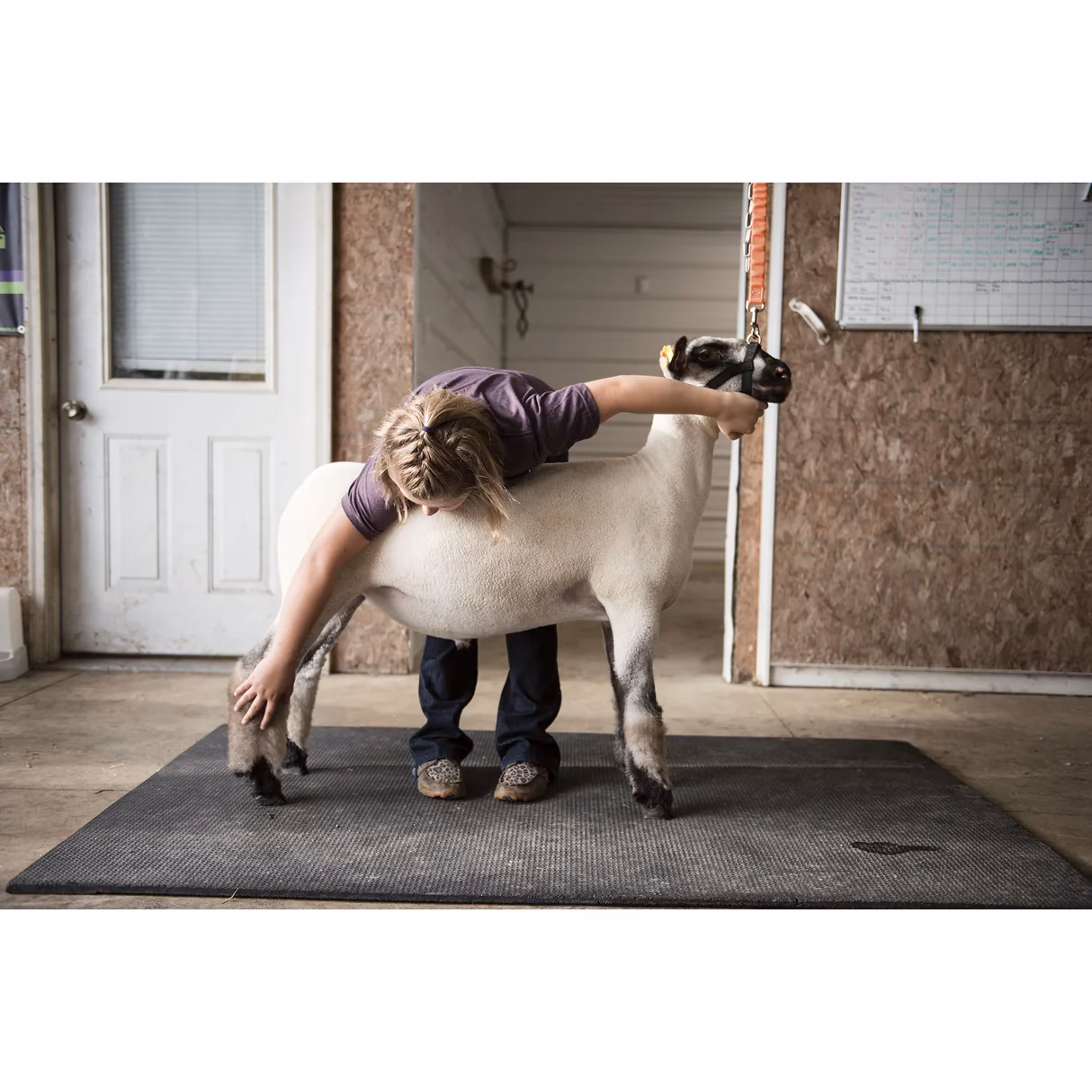 What are the best expedition suits in Europe?