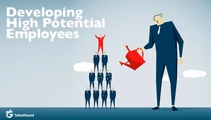 What is a HIPO program?
