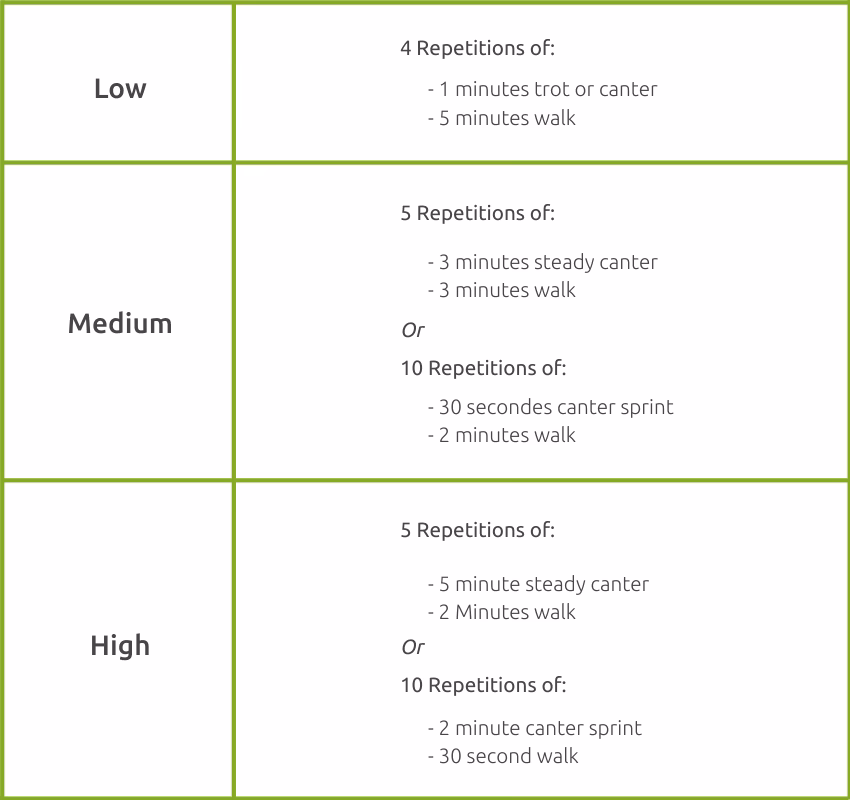 Why do horses need a fitness plan?