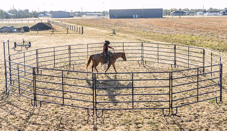 What should you do before leading the horse into the round pen?