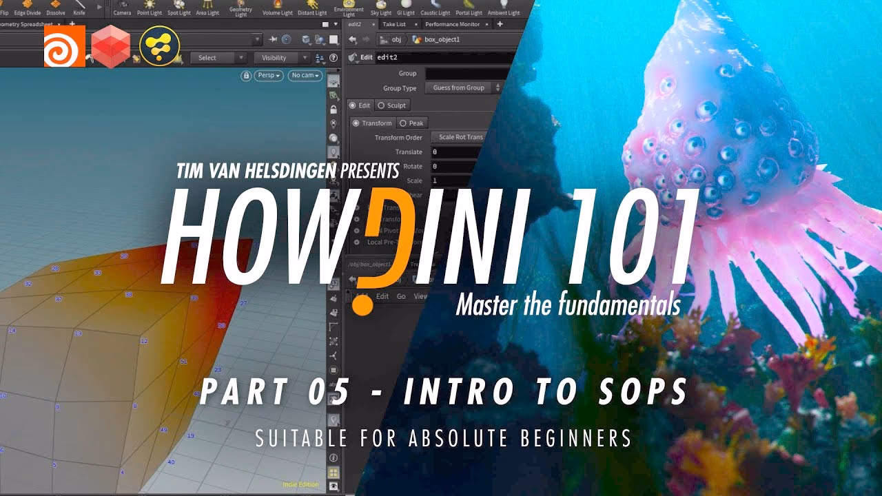 What is a Houdini solver SOP course?