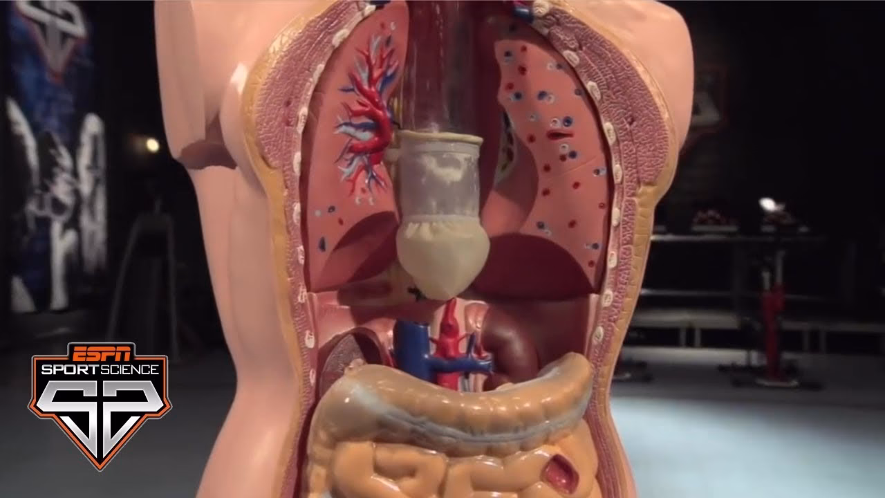 How do competitive eaters train?