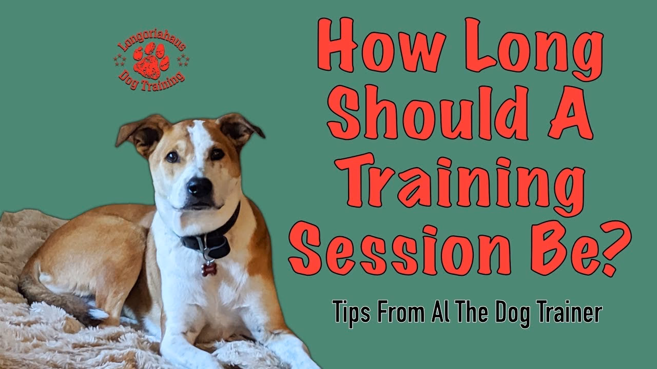 How often should dogs be trained?