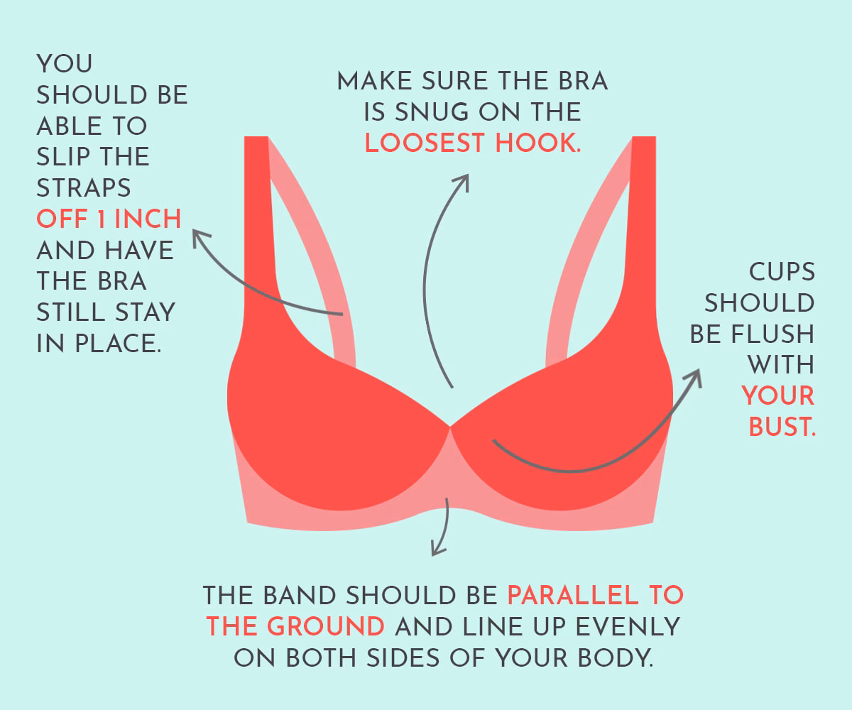 How should a bra fit?