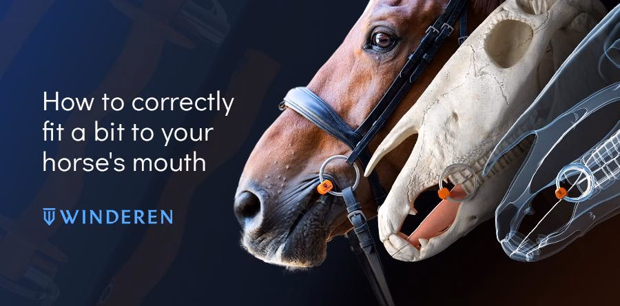 How do you fit a bridle bit?