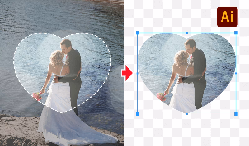 How to fill a shape in illustrator?