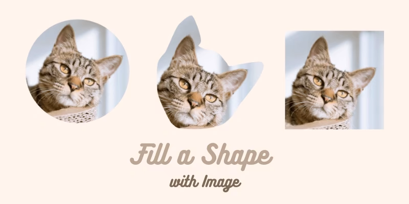 How to add a shape in Photoshop CC?
