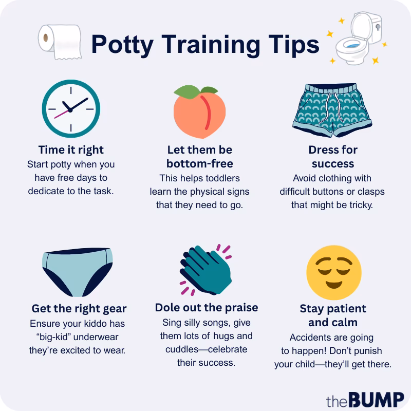 Is your toddler ready for potty training?