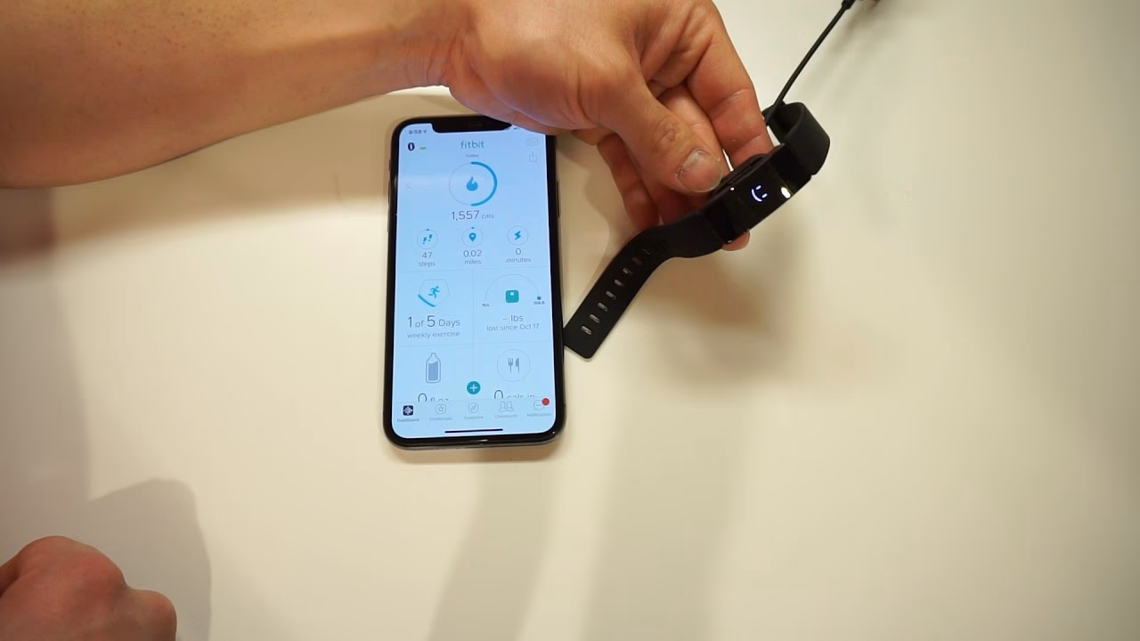 Will a factory reset erase my fitness data?