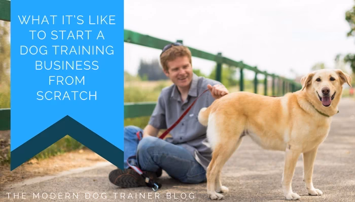 Where should you start a dog training business?