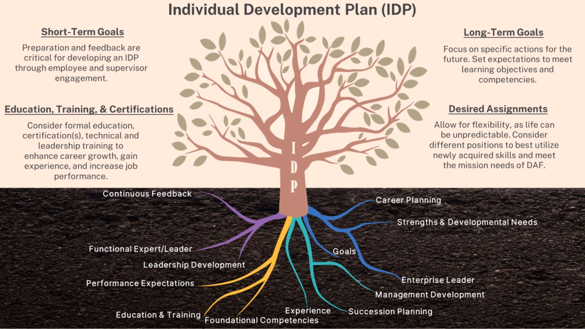 What is a career-focused Individual Development Plan (IDP)?