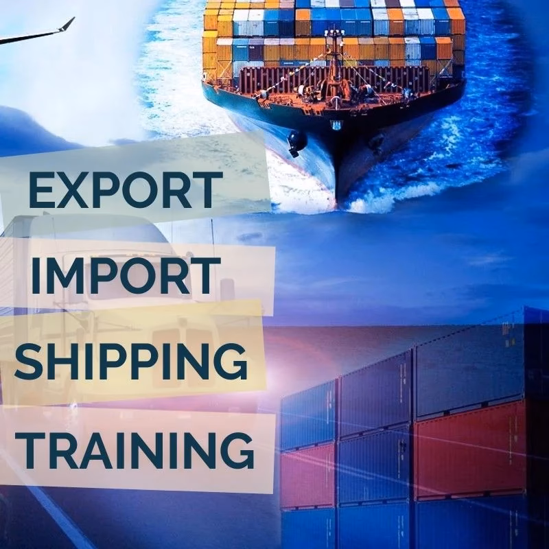 What is online export-import business training?