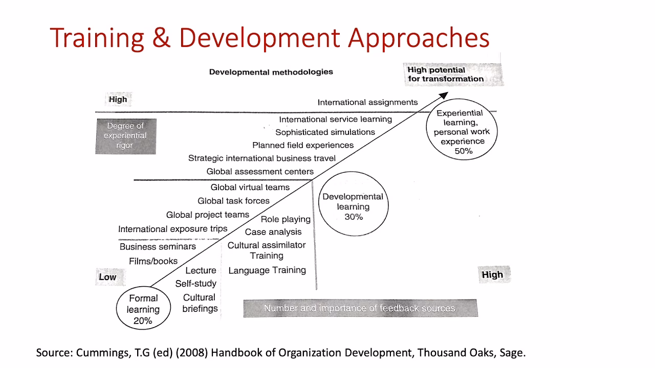 What is the relationship between international training and Management Development?