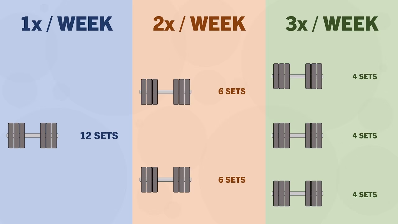 How many times a week do you hit a muscle?
