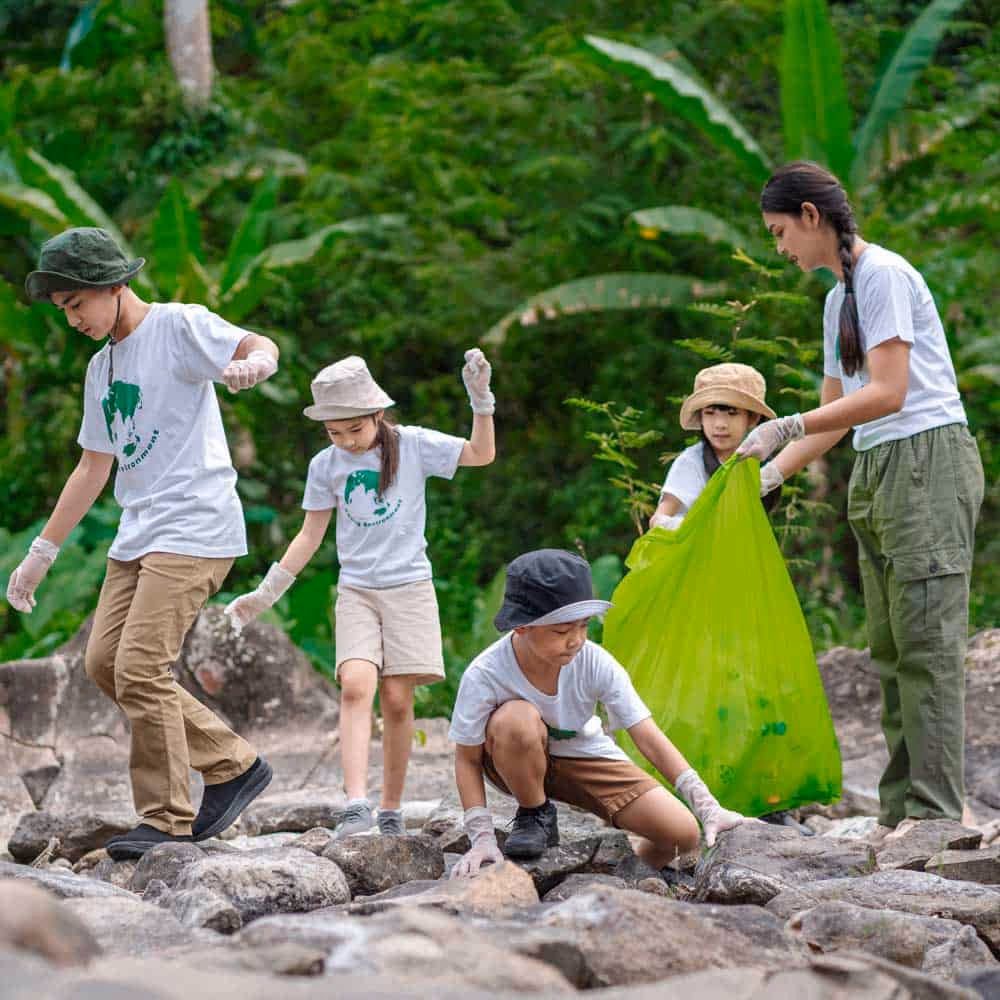 How many forests are certified in Japan?