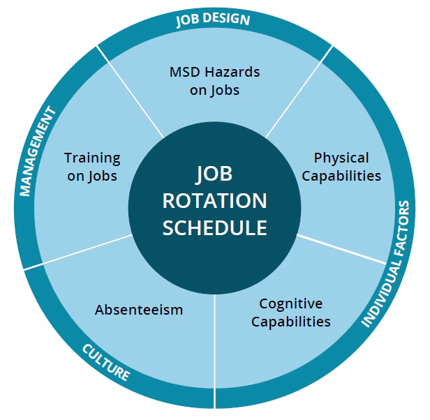 How do I develop a training program for job rotation?