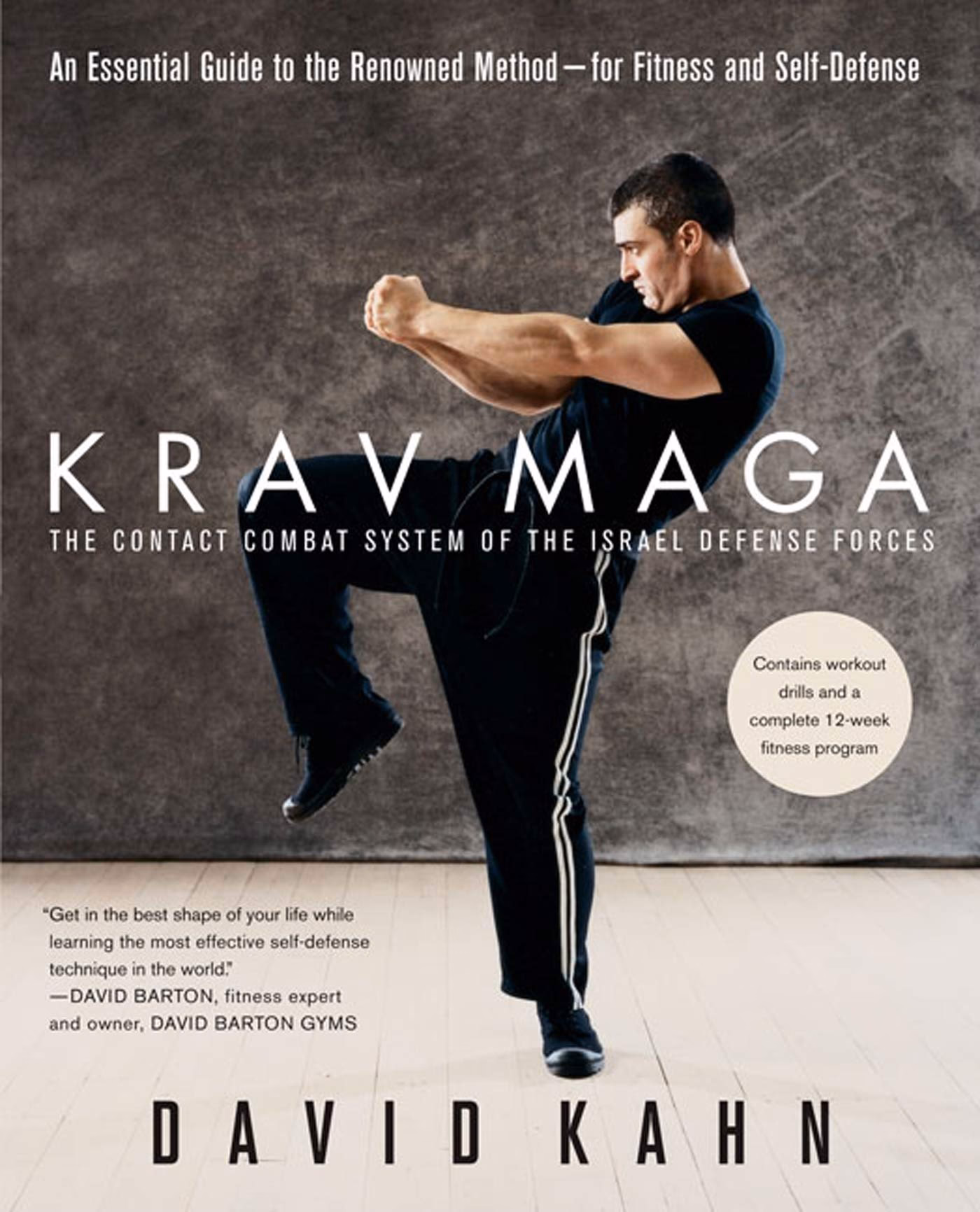 Should you practice Krav Maga?