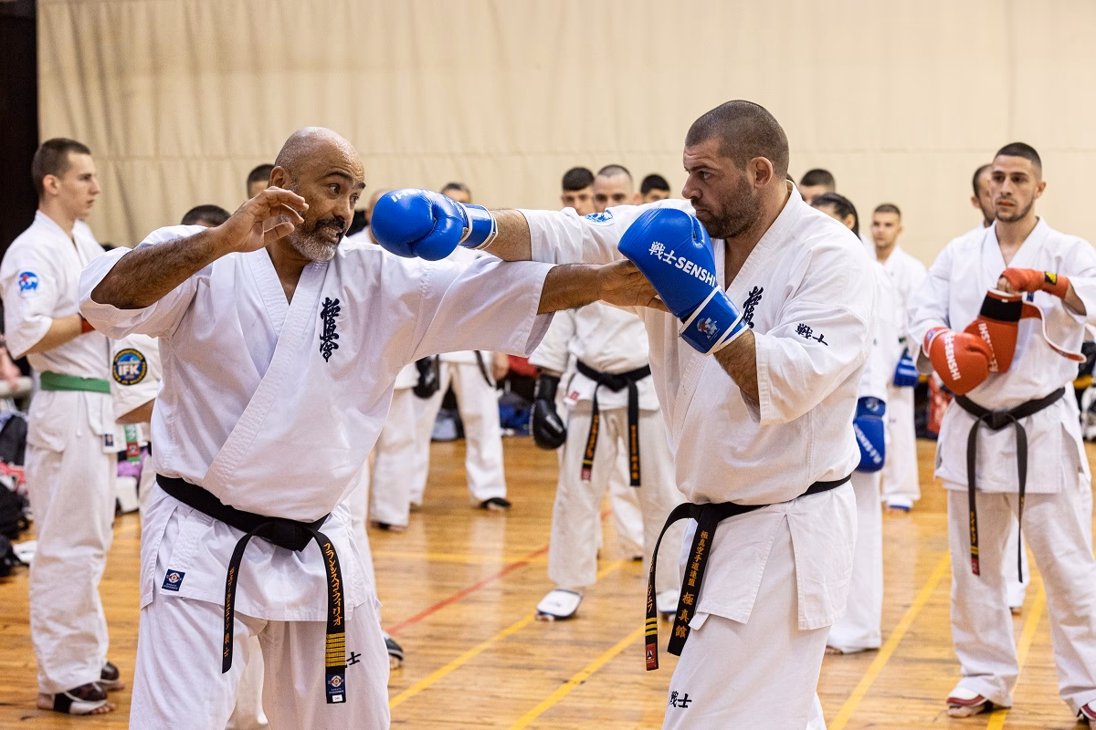 What is Kyokushin martial arts?