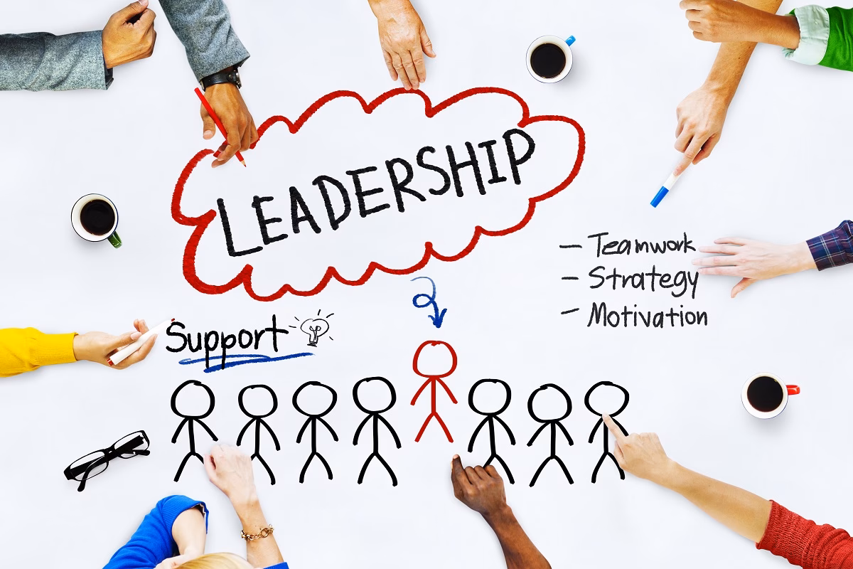 What is the New Zealand Institute of Management & Leadership?