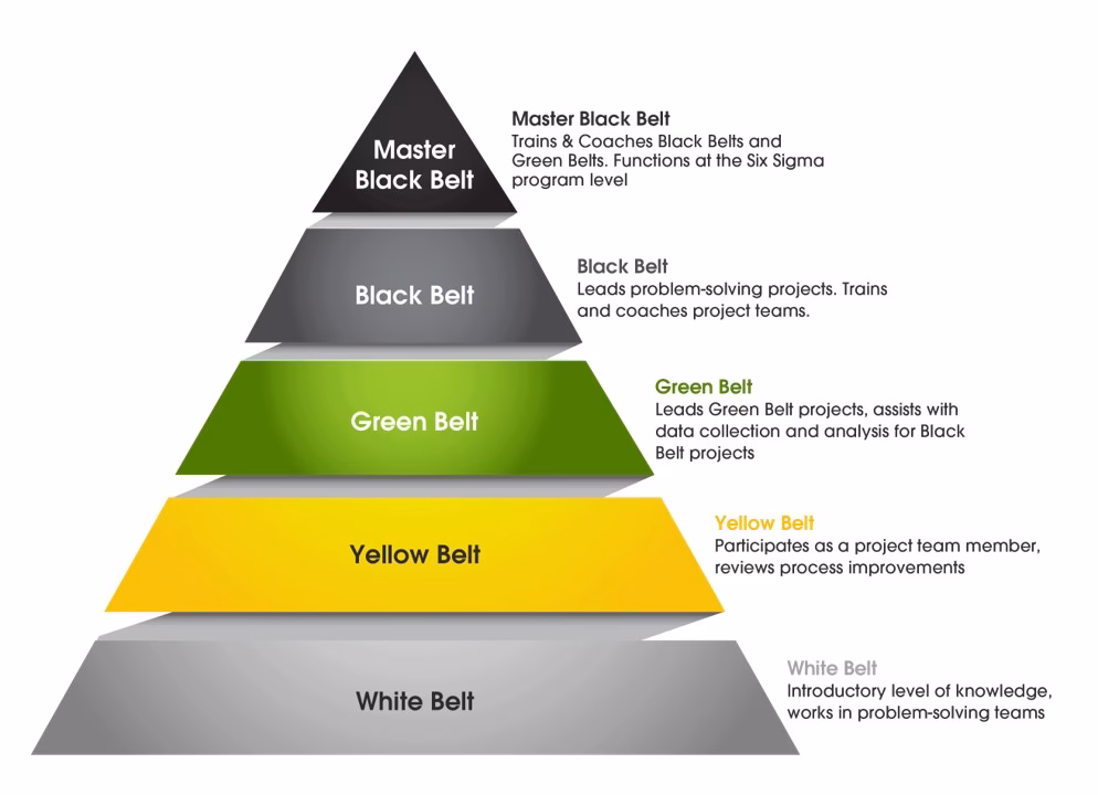 What is Lean Six Sigma training?