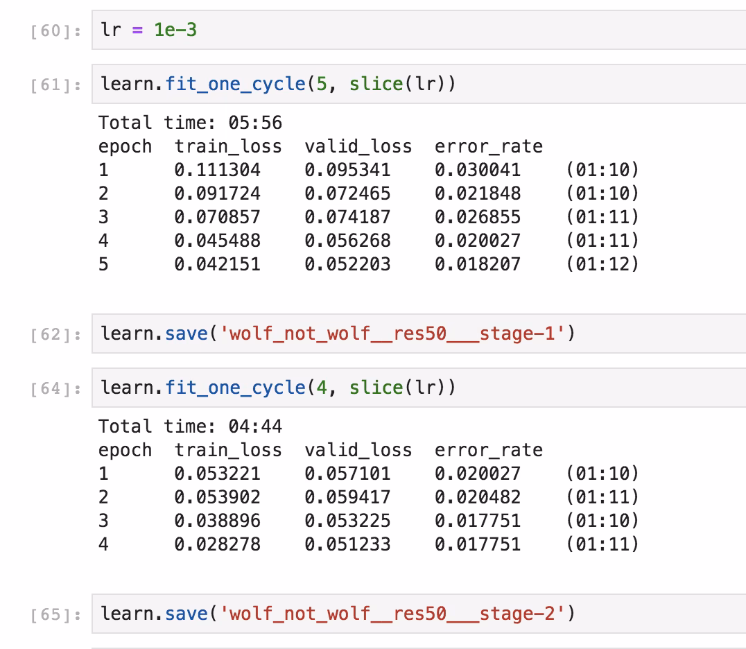 How do I manage 1cycle style training?