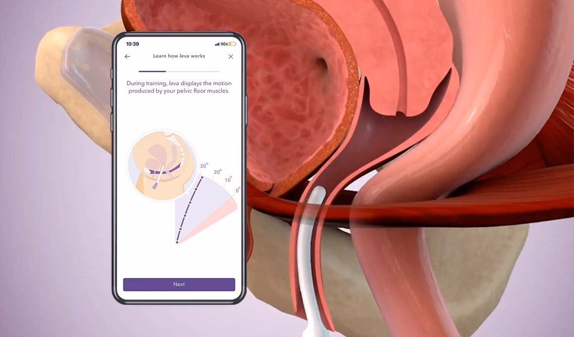 What is Leva forensic video & digital multimedia evidence processing training?