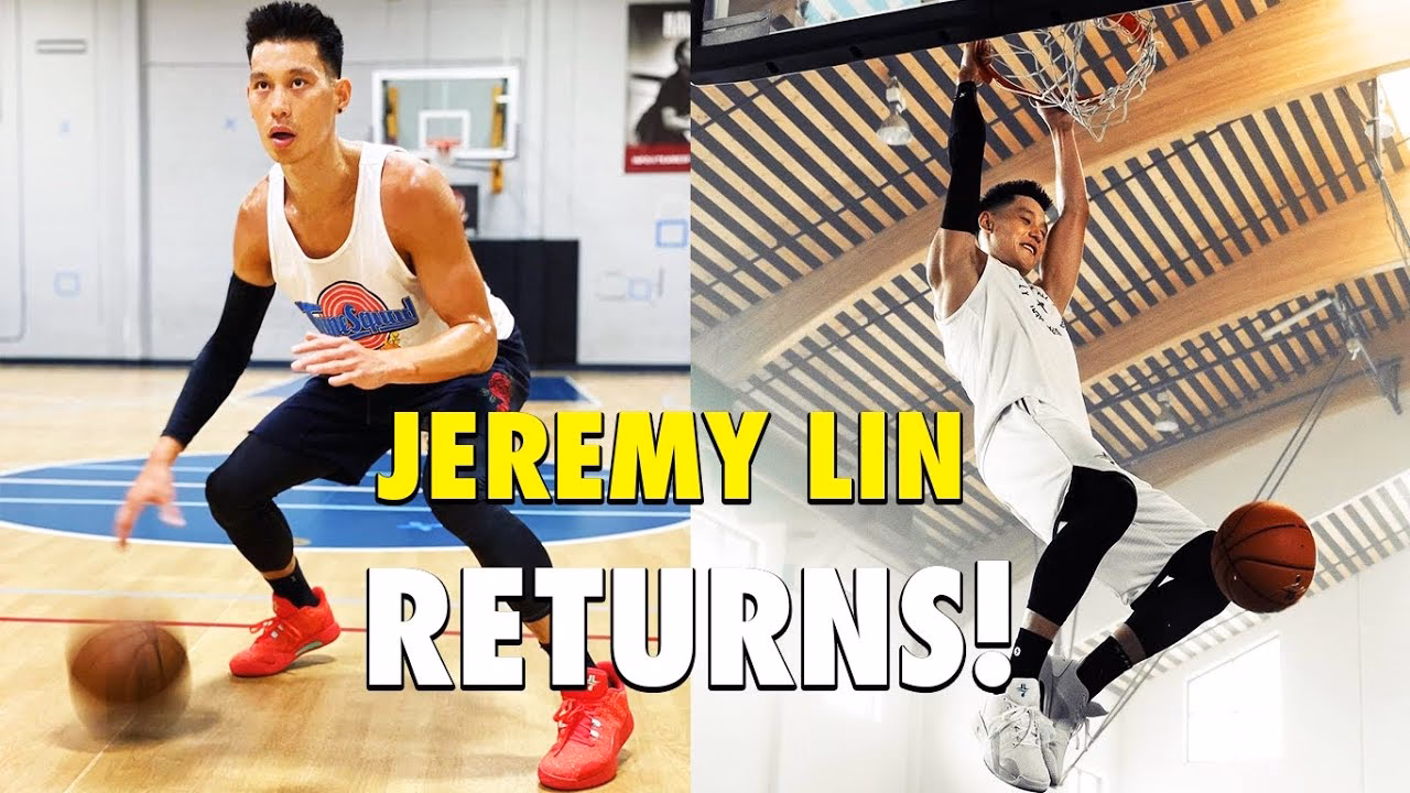 What is LIN (Local Interconnect Network)?