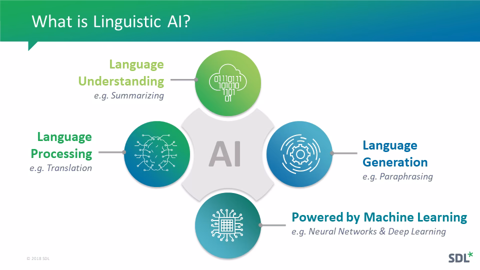 What can I do with a degree in linguistics?