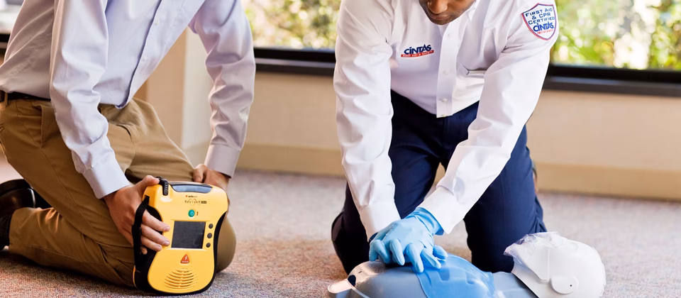 What is the lives Academy?