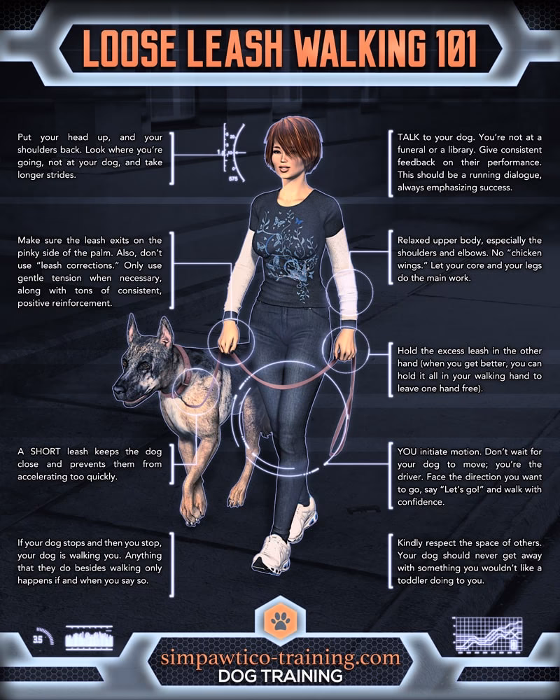 What is loose-leashed training?