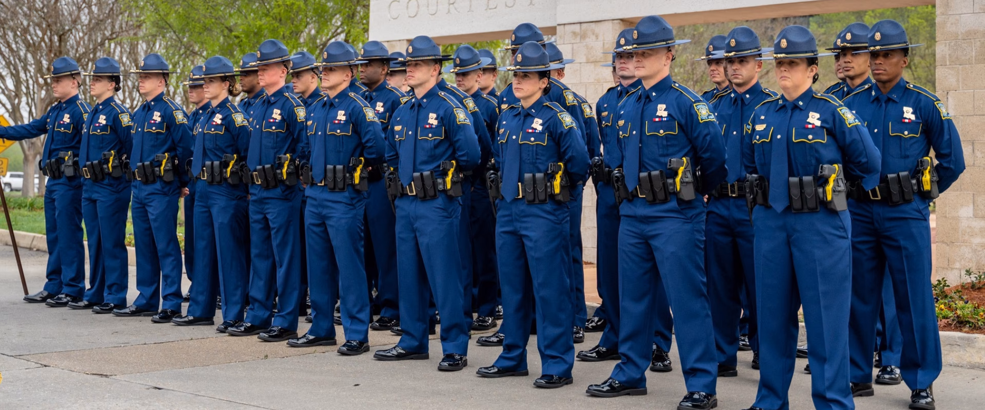 What is inthrface LSP training?