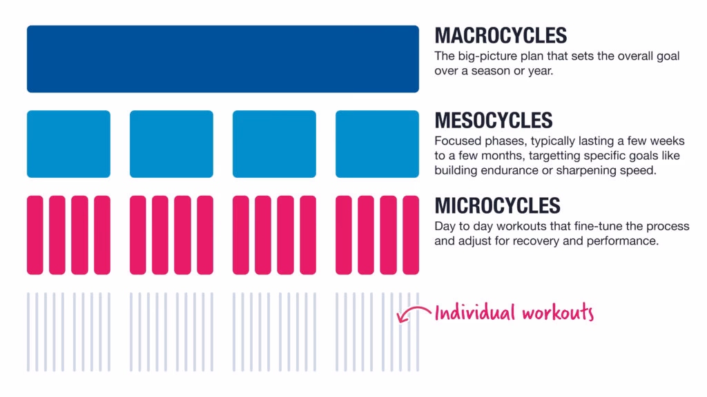 How many cycles are there in a training program?