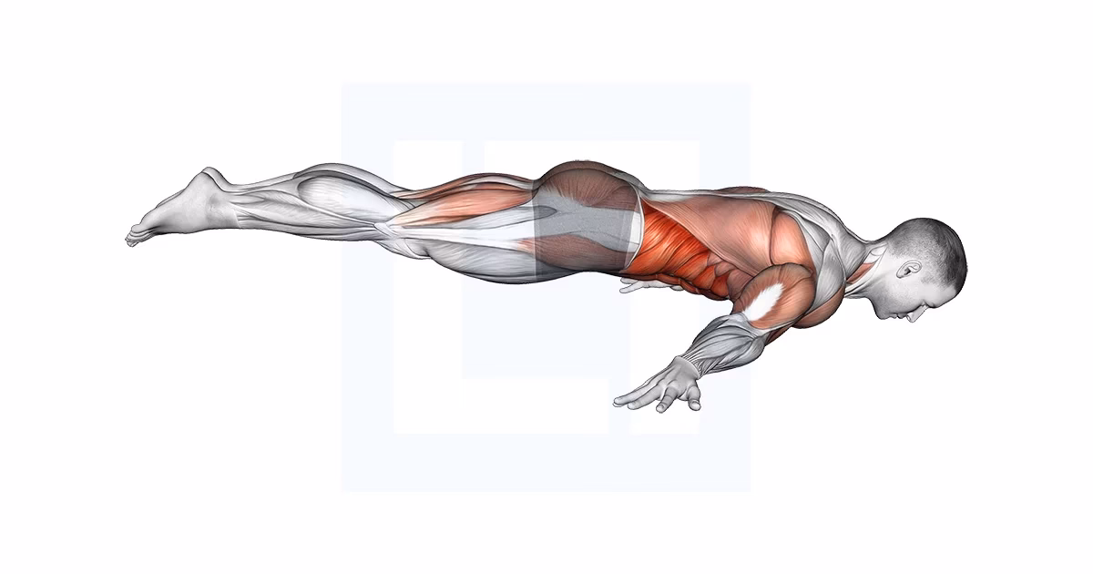 How to do a Maltese lean in calisthenics?