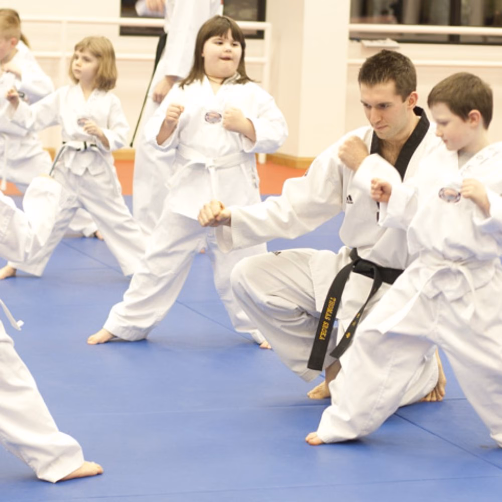 What is a martial arts fitness section?