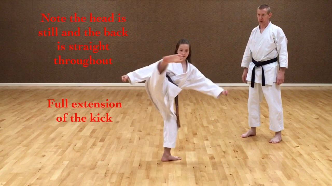 What is maswashi Geri?