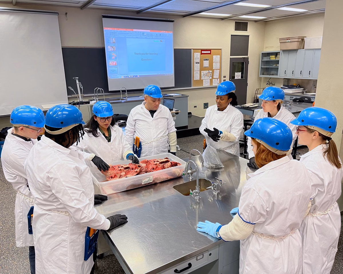 What is a meat safety inspection course?