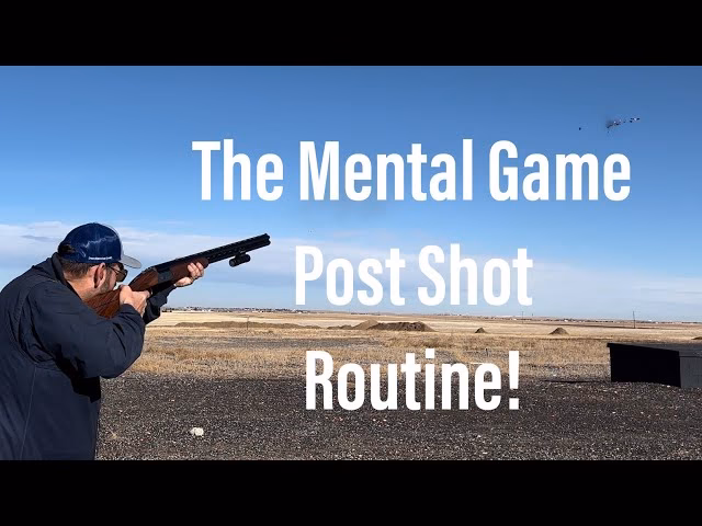 What is mental training?