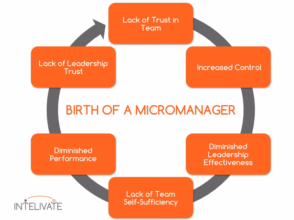 How do you understand micromanagement?