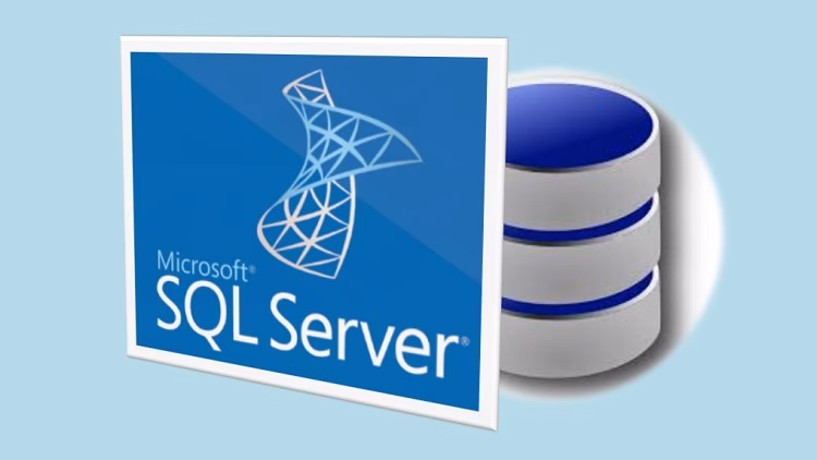 What can I learn in SQL Server management studio?